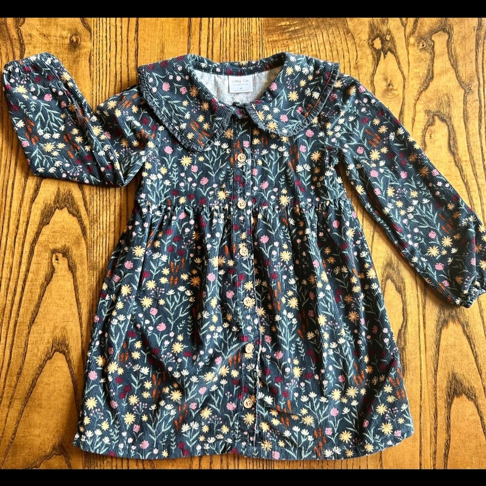 Toddler girls 100% Organic cotton floral dress